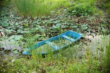 The rowboat sank in the swamp with grass , lotus and weed 