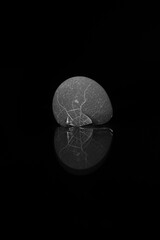 a cracked egg lit from below, giving atmosphere © Gosia.wuuu