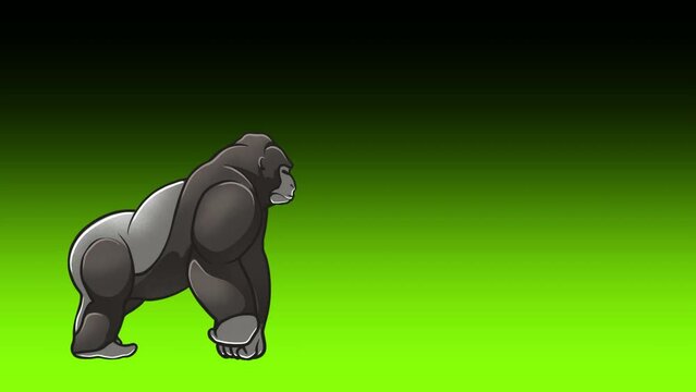 Cartoon Gorilla walking 2d animation with green screen background, gorilla cartoon hand drawn animation footage