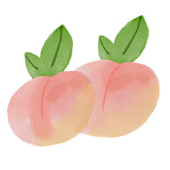 peach with leaves , peach illustration