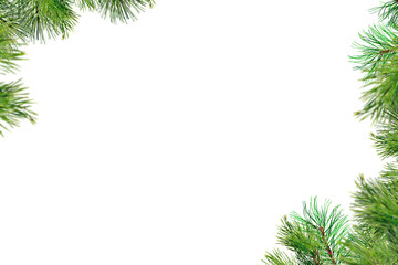Fototapeta na wymiar Christmas Tree Branch Photo overlays, Pine green branch isolated on transporent background, frame border , winter New Year, holiday, xmas, photo sessia, PNG
