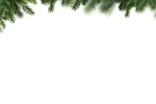 Christmas Tree Branch Photo overlays,  Pine green branch isolated on  transporent background, frame border , winter New Year, holiday, xmas,  photo sessia, PNG