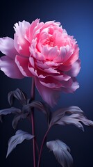 Hyper-Realistic Surreal Flower in Minimalist Style