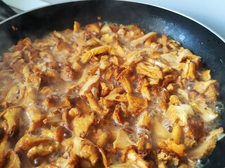 Cooking fresh mushroom stew with garlic and parsley