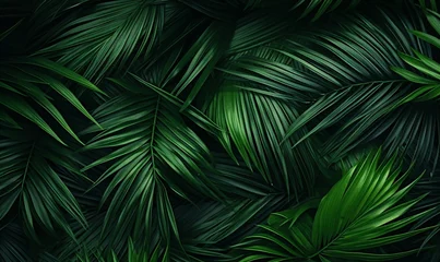 Foto op Plexiglas A lush green palm tree with large leaves Generative AI © BIPUL