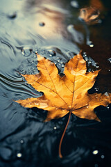 close-up shot of a leaf floating in a puddle during a storm created with Generative Ai