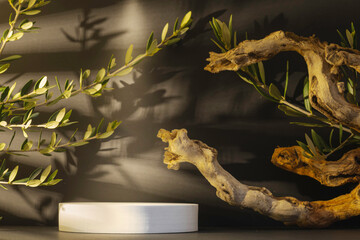 Arrière plan noir avec présentoir pour des produits avec un rendu 3 D avec des branches d'olivier. Plate-forme vide avec podium pour cosmétique, bijoux, maquette ou autres objets.	