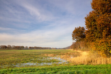 Obraz premium De Diepen nature reserve near Milsbeek