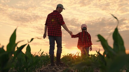 Dad daughter hold hands in field. Father, child walk on field, sunset. Kid girl, dad go hand in...