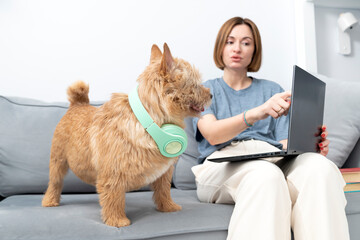 Wearing headphones, a cute dog sits beside his female owner, both captivated by the laptop screen