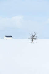 Minimalist vertical view of field covered in fresh snow, with small wooden shed and lone bare tree, Quebec City, Quebec, Canada