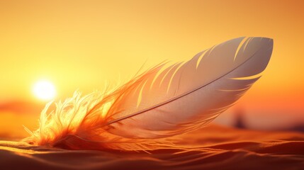  a close up of a bird's feather on a bed of sand with the sun setting in the background.