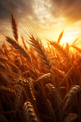wheat in field, photorealistic, cinematic, macro photography, realistic, detailed, long exposure, magical nature photography created with Generative Ai