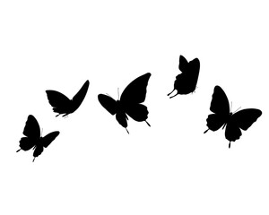 set of butterflies