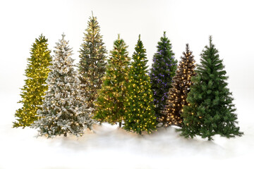 Group of Christmas trees