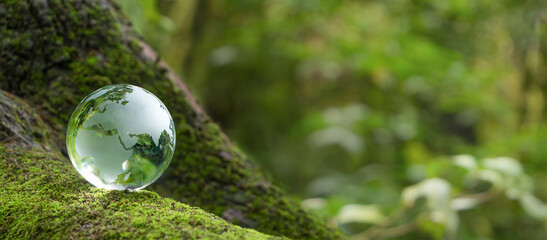 Crystal Earth In Forest With Ferns And Sunlight - Environment, save clean planet, earth day,...