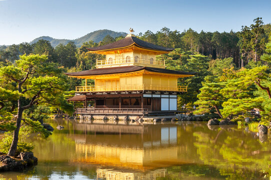Kinkakuji, golden pavilion in Kyoto, Japan, sunny day, side angle