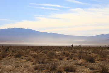 Dried lake basin in the Mojave Desert 