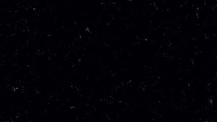 White scratches, dust, noise, dirt, grain, sprockets with transparent background for overlay retro use. Vintage old film gate matte effect | Loop Video | 4K UHD ProRes 4444 | Transparent Background