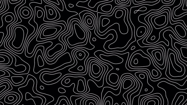Topographic map lines with transparent background. Apply with masks for texture effects on shapes or backgrounds. Change the color if you need. Loop Video | 4K UHD ProRes 4444 | Transparent Background