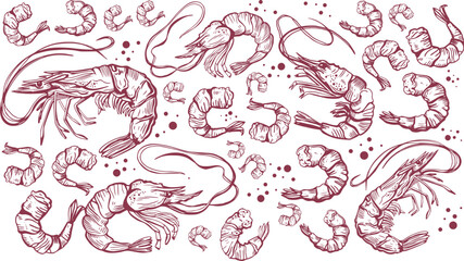 Hand drawn isolated seamless vector pattern of shrimps. Shrimps and langoustines on a white background. Prawns. Seafood, food vintage illustration.