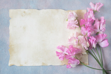 Bouquet of sweet pea flowers and paper with space for text greeting on decorative background.