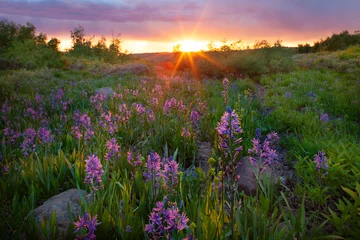 Tuinposter Steens Sunset © Cheryl