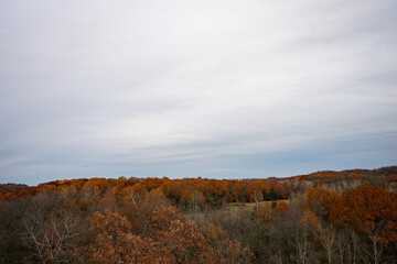 cloudy skyline over autumn trees