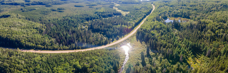 Aerial panoramic view of a lush norther forest with a curving gravel road and the sun reflecting off the water in a small pond.
