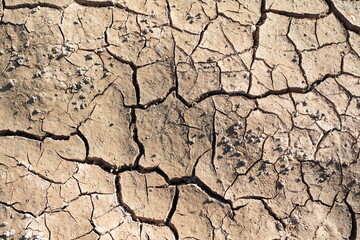 cracked soil background in the dry season Lack of water and food