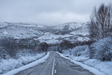 Fototapeta premium road in a snowy landscape, winter concept
