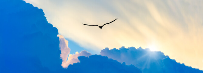 Sunset Bird Flying Silhouette Soaring Divine Flight Sky Hope Sunrise Banner Header - obrazy, fototapety, plakaty