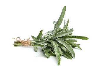 Sage herb leaves isolated on white background. Fresh garden sage bunch