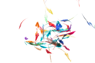 Many color Feather fly fall beautiful spiral pattern in air over black background isolated. Puffy Fluffy soft feathers like dream floating dove in sky. Colorful feathers are so light and delicate