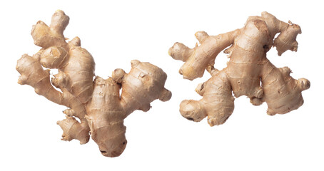 Ginger fall fly in mid air, fresh vegetable spice ginger falling. Organic fresh herbal ginger root head full length, close up texture. White background isolated freeze motion high speed shutter - obrazy, fototapety, plakaty
