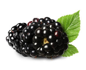 Tasty ripe blackberries and green leaves isolated on white