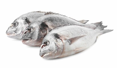 Fresh raw dorado fish isolated on white