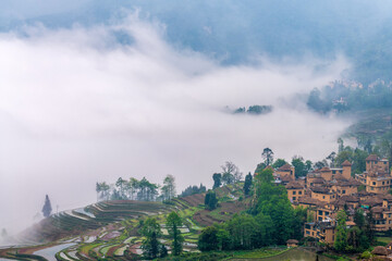 The cottage in the morning fog of Ailao Mountain, Yuanyang County, Honghe Prefecture, Yunnan Province, China. - obrazy, fototapety, plakaty