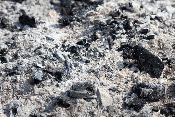 Fire Burn Ash of Wood - Abstract Texture Seamless Grey Pattern Background