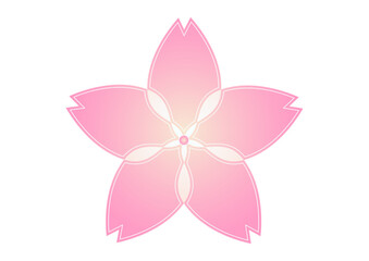 ピンクとクリーム色の桜の花のイラスト素材