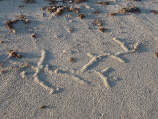 footprint on the sand