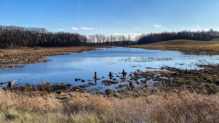 Flooded Farm Fields in November in Wisconsin