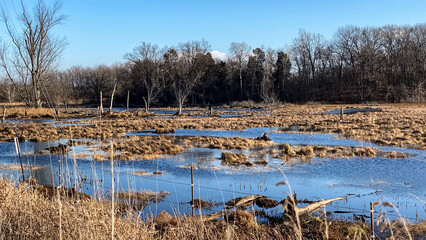 Flooded Farm Fields in November in Wisconsin