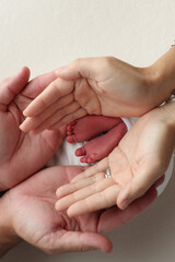 The palms of the parents, father and mother hold the legs, feet of a newborn baby in a white wrapper on a white background. Feet, heels and toes of a newborn child close -up. Professional macro photo.