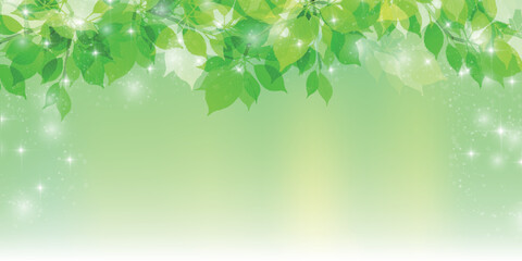 新緑　葉　風景　背景	 - obrazy, fototapety, plakaty