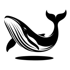blue whale black and white