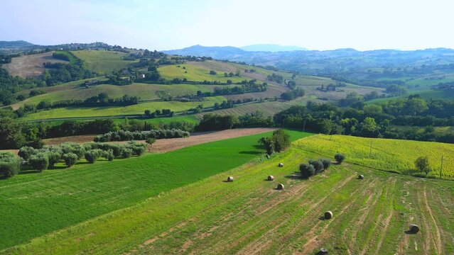 Elevated aerial push-in shot from Belmonte Piceno in the Fermo province of Marche region (Italy) with yellow, green and brown agricultural fields, round hay bales, trees, thickets, intricate hillscape