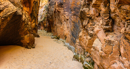 The Pine Creek Gorge, Zion National Park, Utah, USA