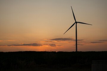 Obraz premium Wind turbines are a large source of natural energy that is turned into electrical energy and then used in everyday life. On sunset background