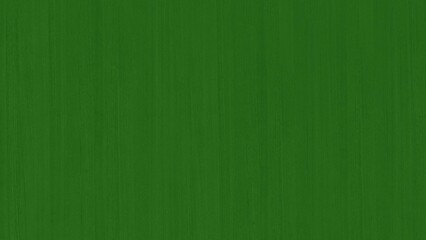 wood texture green background